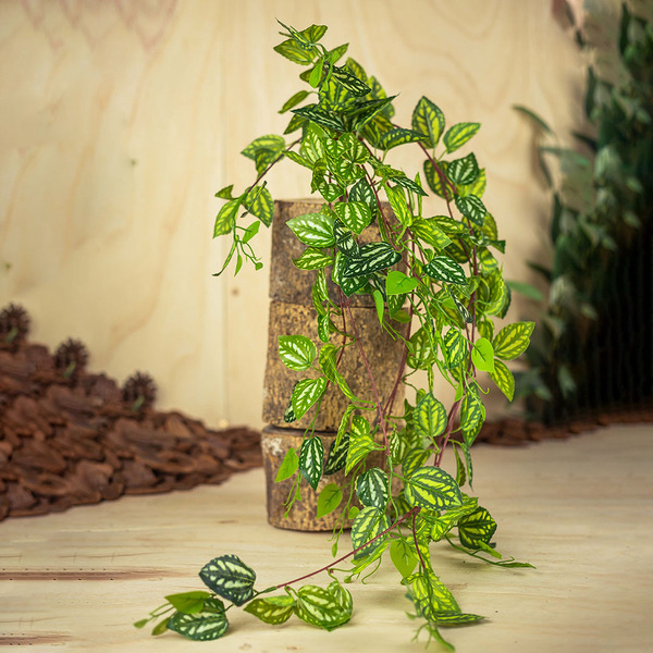 Pendente Toque Real Fitônia 97cm| Jardim Vertical Formosinha